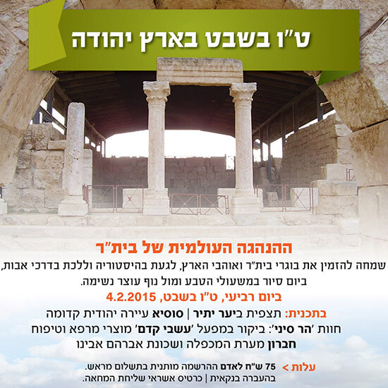 עיצוב גרפי לפלייר לסיור ט